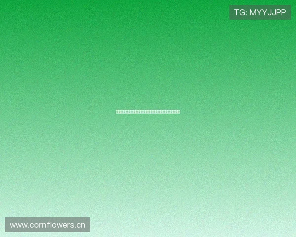 风速体育直播最新版全平台覆盖高清赛事实时观看体验优化